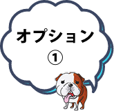 オプション1